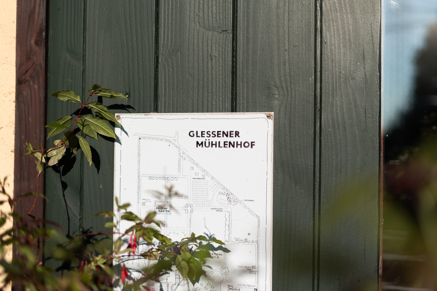 Glessener Mühlenhof Hochzeit Bergheim-6